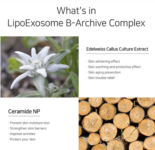 B – Archive Complex - Uso Mixto