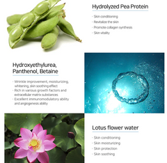 E.R.S Hydra Cellular Ampoule Uso Profesional